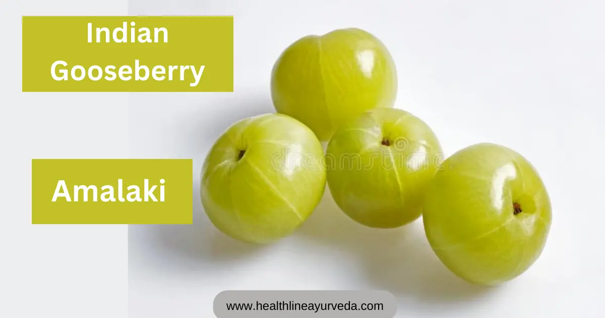 Amla-uses-health-benefits