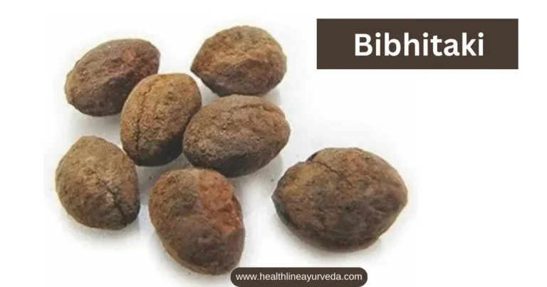 bibhitaki benefits complete details