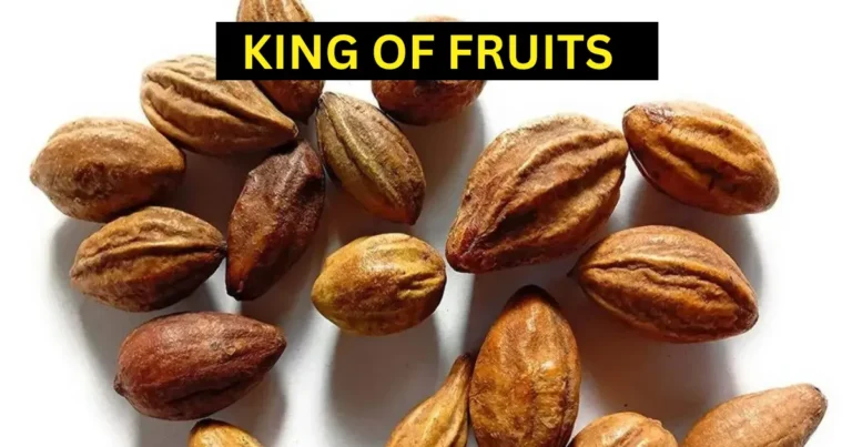Haritaki-the-king-of-fruits