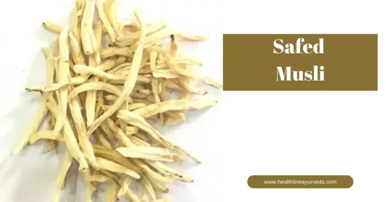 Safed musli - Benefits, the best medicine for sexual problems, FAQ.