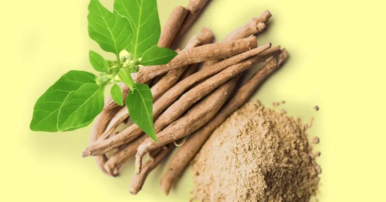 Ashwagandha Benefits, Complete details & FAQ